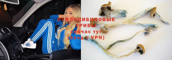 спиды Балабаново