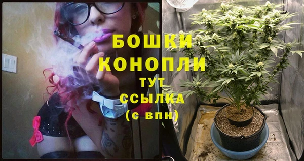 прущие крисы Баксан