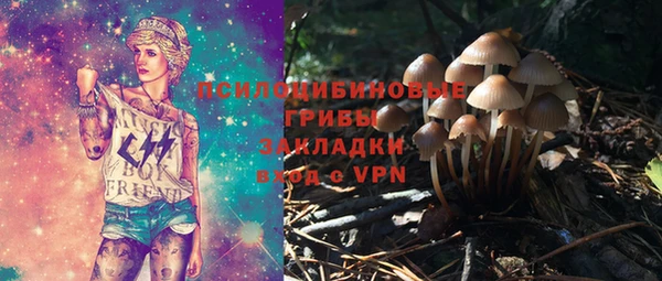 гашик Балахна