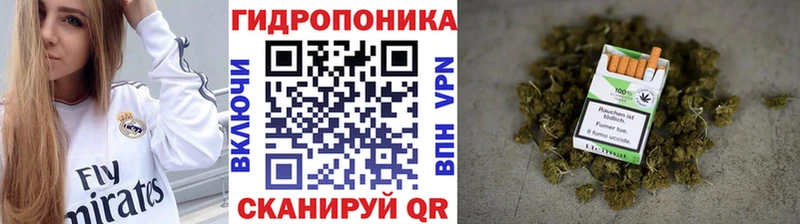 Марихуана семена Новотитаровская